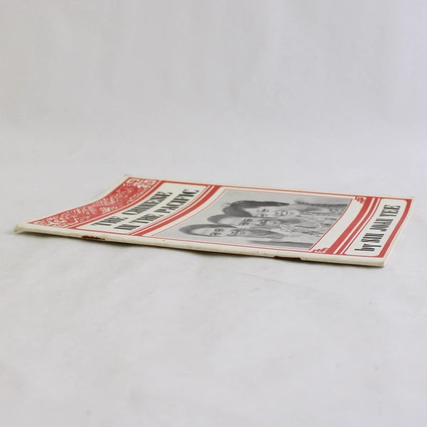 The Chinese in the Pacific by Sin Joan Yee