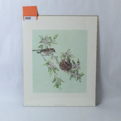 Woodthrush and Young in Mountain Laurel Lithograph by Jill Fogelsong 1981