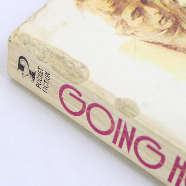 Vintage Going Home by Danielle Steel 1973 Paperback