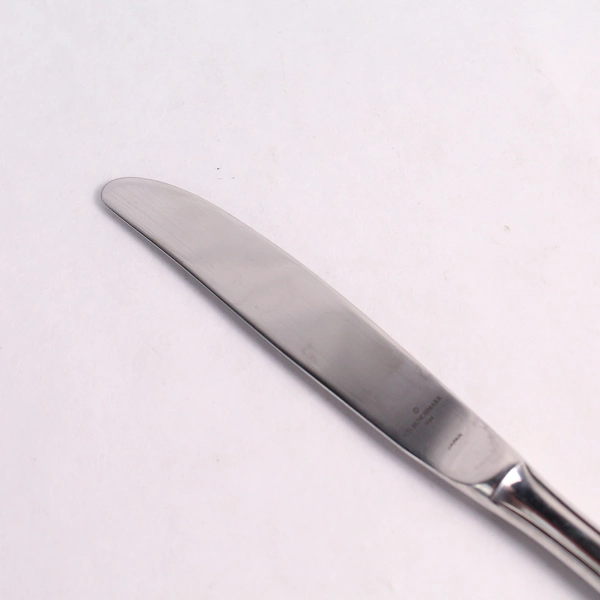 Kirk Stieff Danae Benchmark Stainless Steel Dinner Knife Single Piece