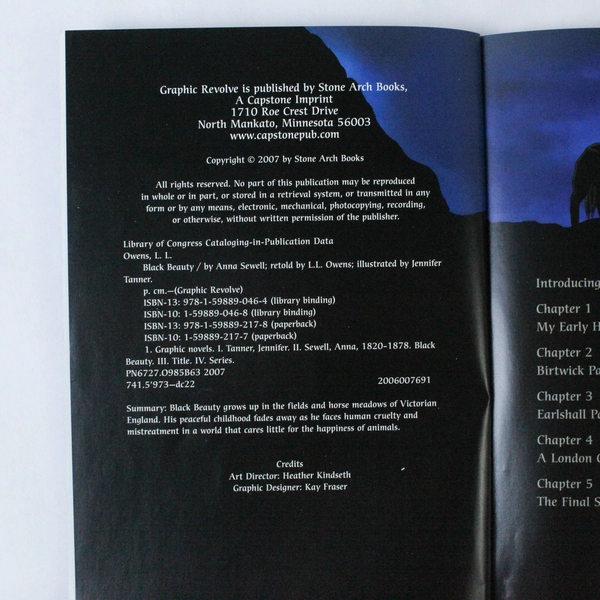 Graphic Novel Black Beauty by Anna Sewell, L.L. Owens, 2007 - Good Condition