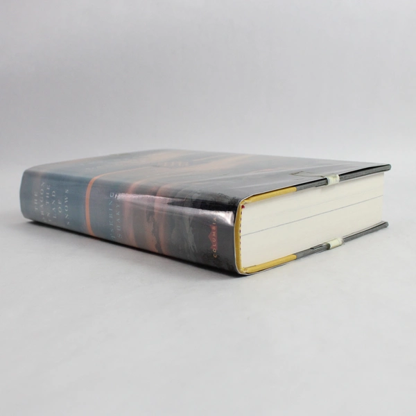 The Dragon in the Land of Snows by Tsering Shakya 1999 Hardcover