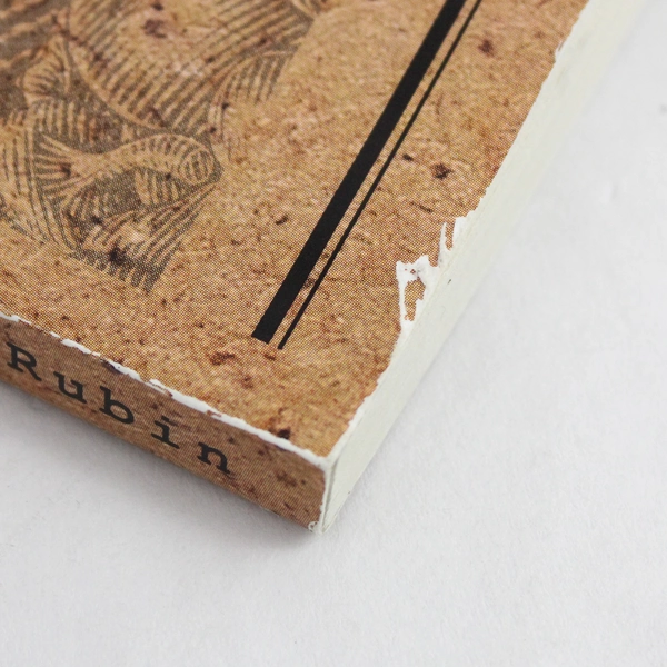 The Raw Truth by Jordan Rubin 2010 Paperback