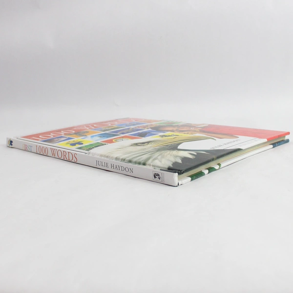 First 1000 Words by Julie Haydon Hardcover 2004