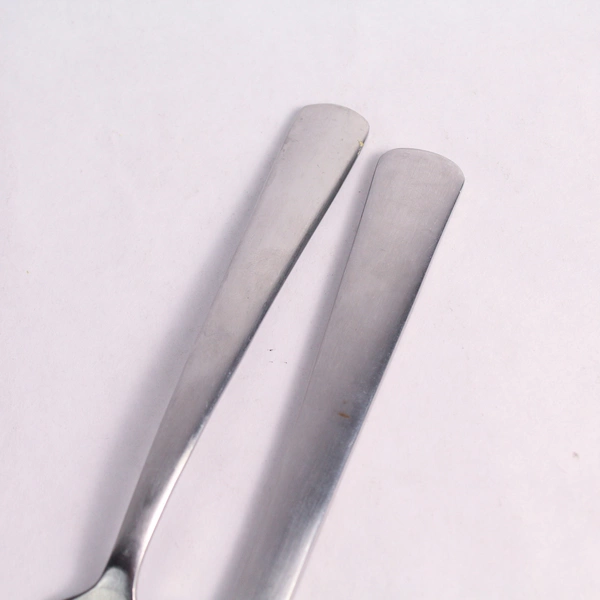 Set of 4 Oneida Anderson Stainless Steel 2 Dinner Forks and 2 Dinner Knives