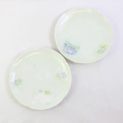 Set of 2 Antique Hand Painted J&C Louise Bavaria Porcelain Dinner Plates 9.75"