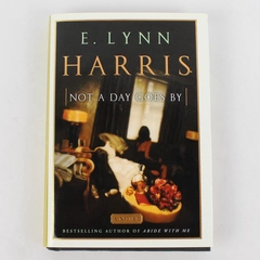 Not a Day Goes By From E. Lynn Harris 2000 1st Edition Hardcover Dust Jacket