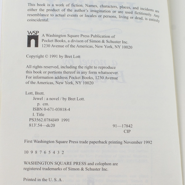 Jewel by Bret Lott 1991 Paperback - Good Condition, Washington Square Press