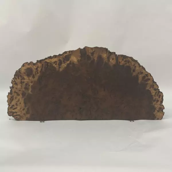 Large Burlwood Slab With Burl Shelf Or Wall Hanging 10x23x11 Wooden Decor