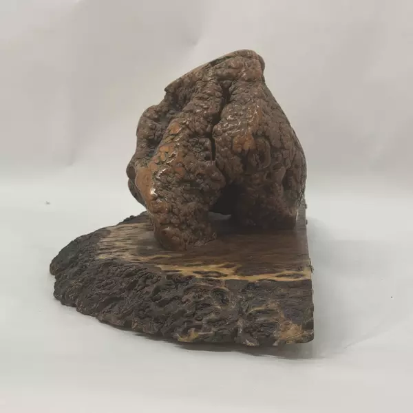 Large Burlwood Slab With Burl Shelf Or Wall Hanging 10x23x11 Wooden Decor