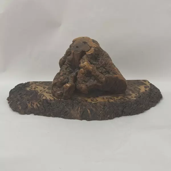 Large Burlwood Slab With Burl Shelf Or Wall Hanging 10x23x11 Wooden Decor