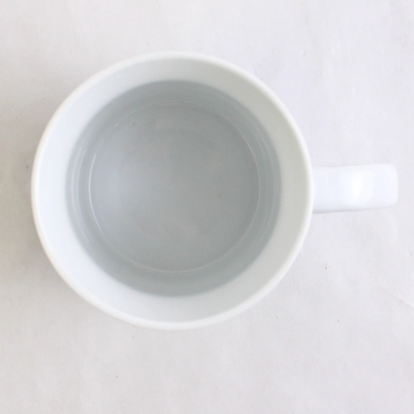 Sunkiss Hawks Eyes ThermoH Exray Color-Changing Ceramic Coffee Mug 11 oz 