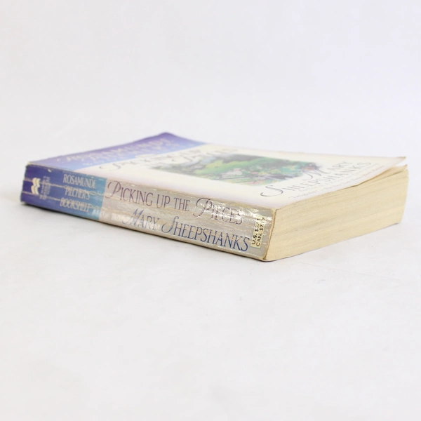 Picking Up the Pieces by Mary Sheepshanks 1999 Paperback