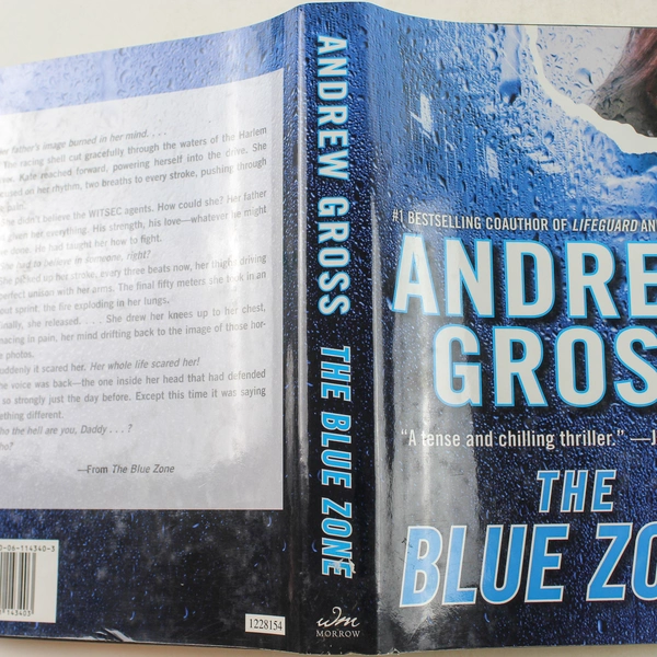 The Blue Zone by Andrew Gross 2007 Hardcover Thriller - Good Condition