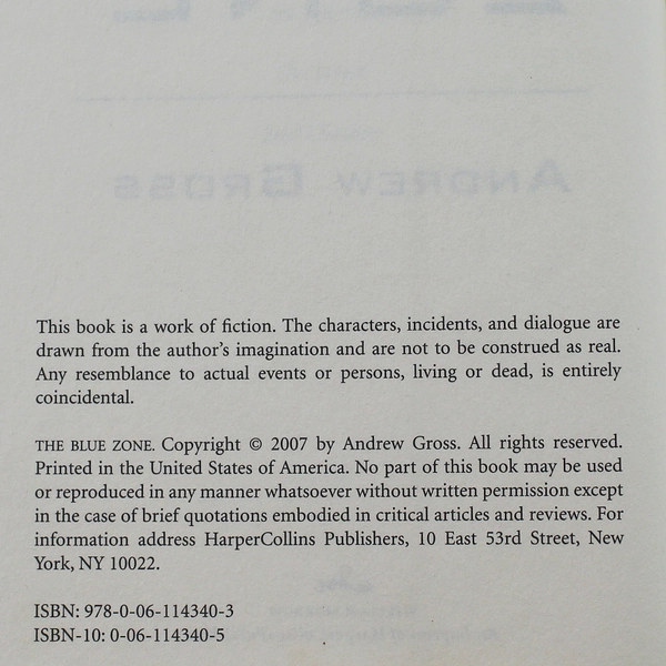The Blue Zone by Andrew Gross 2007 Hardcover Thriller - Good Condition