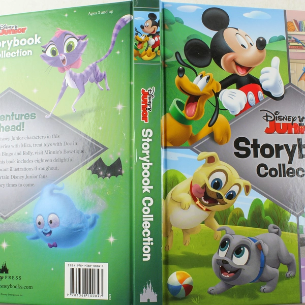 Disney Junior Storybook Collection 2023 Minnie Mouse Bingo Rolly Doc McStuffins