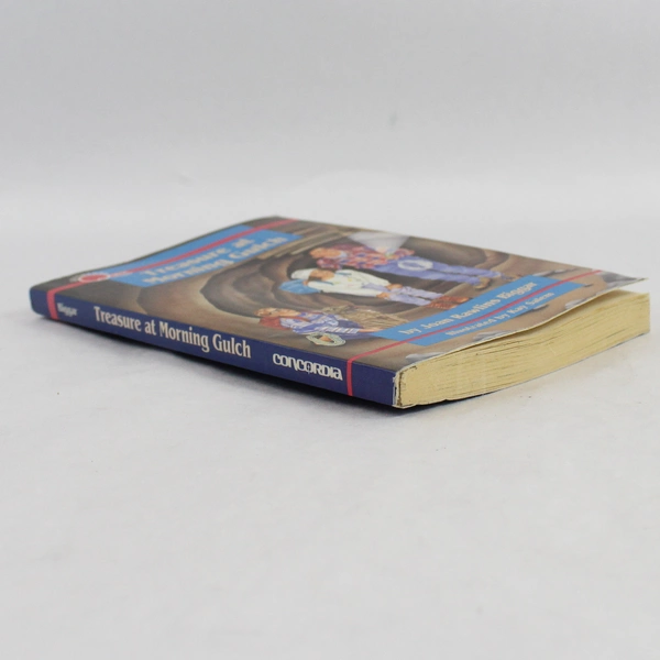 Adventure Quest Series Treasure at Morning Gulch by Joan R. Biggar 1991 PB