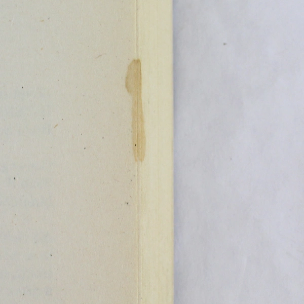 Adventure Quest Series Treasure at Morning Gulch by Joan R. Biggar 1991 PB