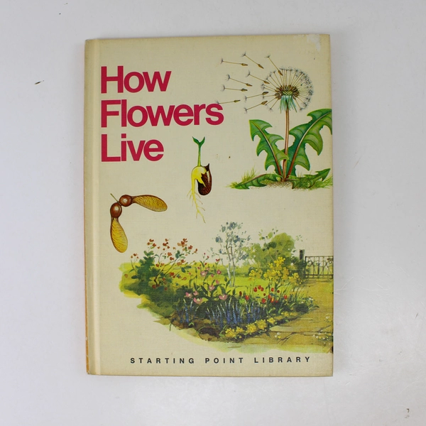 How Flowers Live Michael Dempsey Angela Sheehan 1970 Hardcover