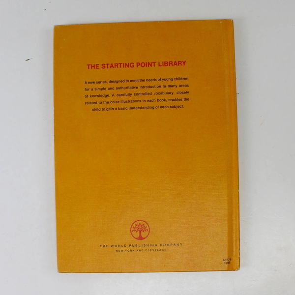 How Flowers Live Michael Dempsey Angela Sheehan 1970 Hardcover