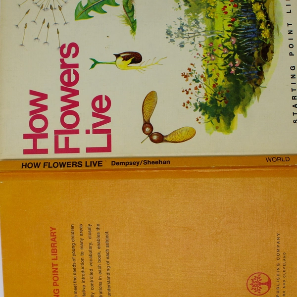 How Flowers Live Michael Dempsey Angela Sheehan 1970 Hardcover