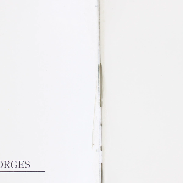 Three Gorges 1996 Chinese and English Edition Paperback