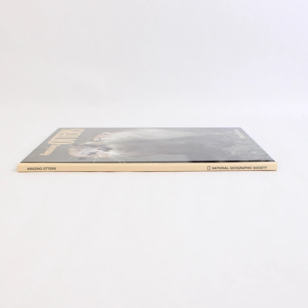 National Geographic Society Amazing Otters by Barbara M Brownell 1989 HC