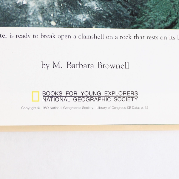 National Geographic Society Amazing Otters by Barbara M Brownell 1989 HC