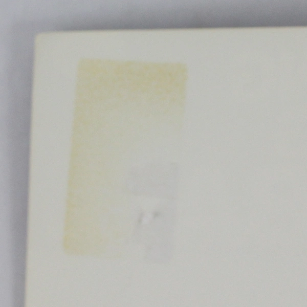 Vintage Coaching Winning Softball By Loren 'Chick' Walsh 1979 Paperback