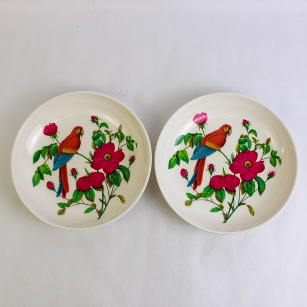 Lot of 2 Productos Margarita 8.5 Inch Melamine Parrot And Flower Pattern Bowls