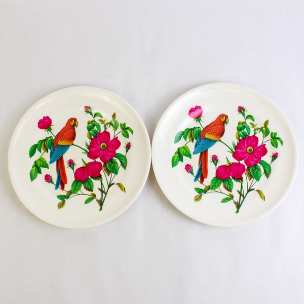 Lot of 2 Productos Margarita Melamine 9" Plates Parrot & Flower Pattern