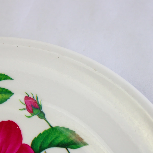 Lot of 2 Productos Margarita Melamine 9" Plates Parrot & Flower Pattern