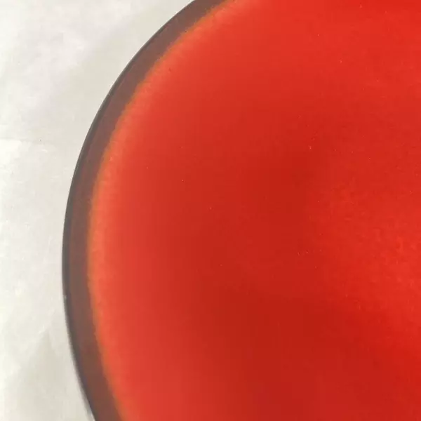 Pfaltzgraff Orion Red Dinner Plate 10.5 Inch