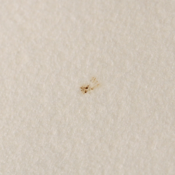 Dona Erago Synthetic Tablecloth for Table Protection and Easy Cleaning 70 x 56in