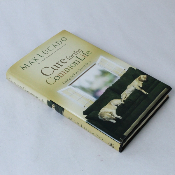 Cure for the Common Life by Max Lucado 2005 Hardcover Book - Pre-owned
