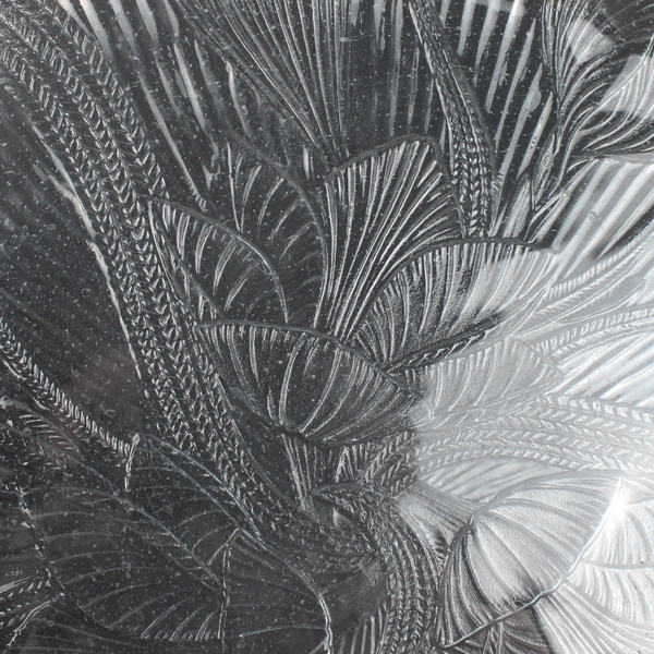 Arcoroc France Canterbury Crocus Flower Glass Dinner Plate 10.75"