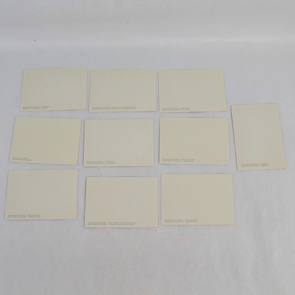 Set of 10 Vintage Castle of Linderhof German Souvenir Photographs Original Box