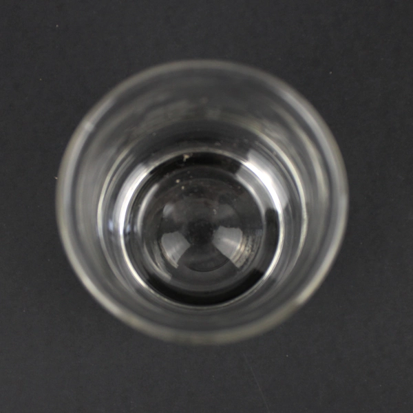 Casafina Flat Etched Grapes Juice Glass 5 Inch Clear Drinkware Barware