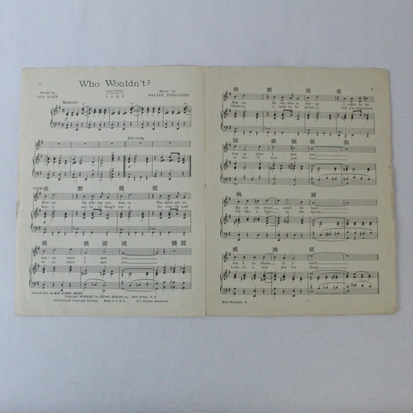 Vintage 1926 Who Wouldn't Sheet Music by Gus Kahn & Walter Donaldson