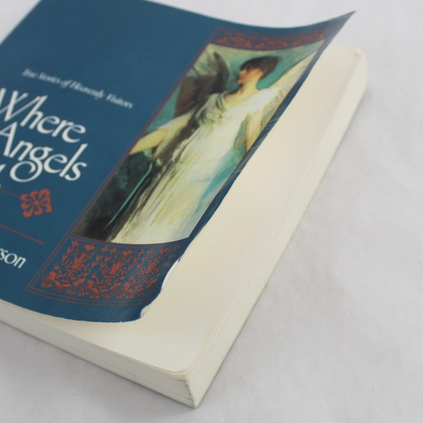 Where Angels Walk by Joan Wester Anderson (1993 Ballantine Books, Paperback)