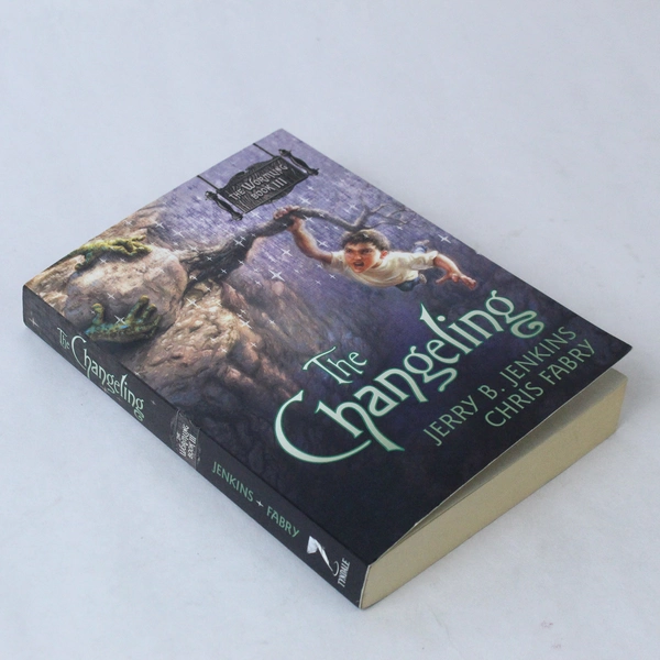 The Changeling by Chris Fabry & Jerry B. Jenkins 2007 Paperback Good Condition