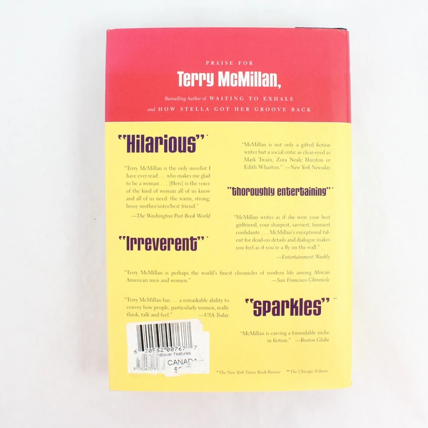 A Day Late And A Dollar Short Terry McMillan 2001 Viking Books Hardcover DJ