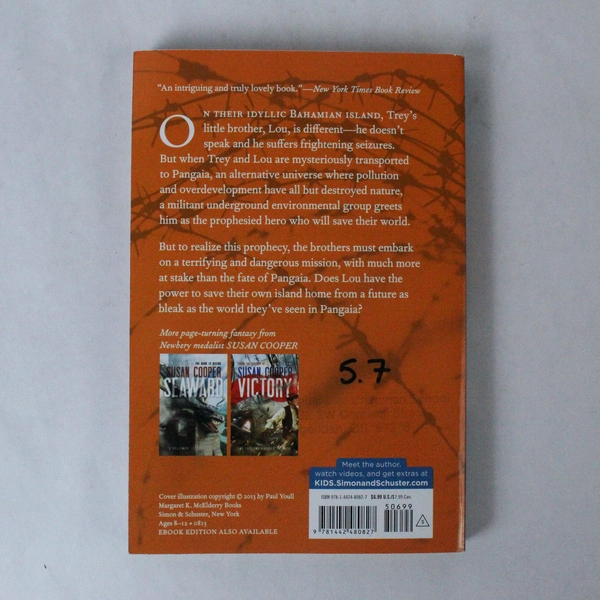 Susan Cooper Green Boy 2013 Paperback - Good Condition, School Stamp, Writing