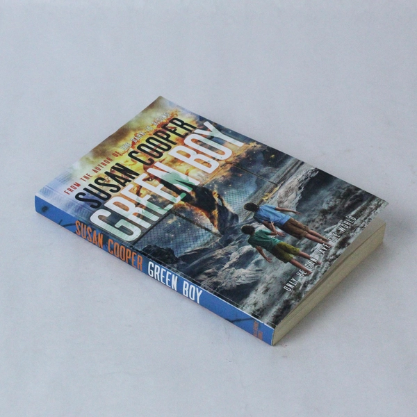 Susan Cooper Green Boy 2013 Paperback - Good Condition, School Stamp, Writing