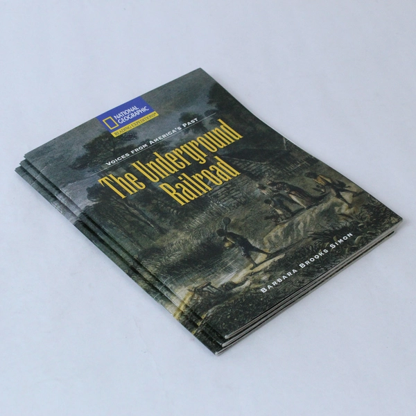 Lot of 3 The Underground Railroad by Barbara Brooks Simon 2004 Pre-Owned