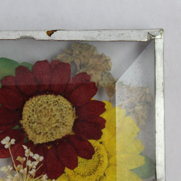 Pressed Flower Beveled Glass Souvenir Refrigerator Magnet