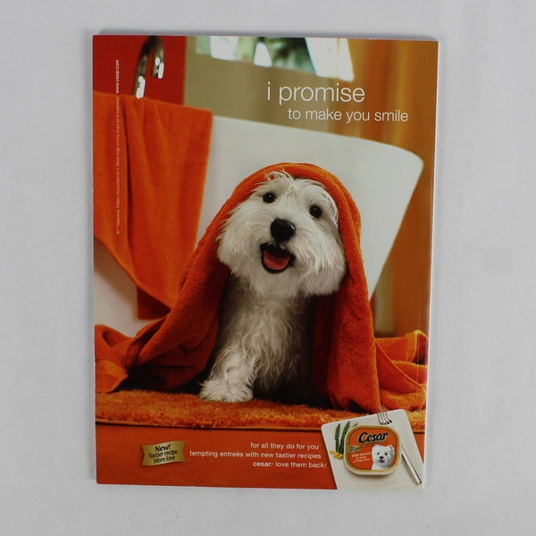 Dachshunds All About America’s Favorite Dogs 2012 Volume 10 2nd Edition PB