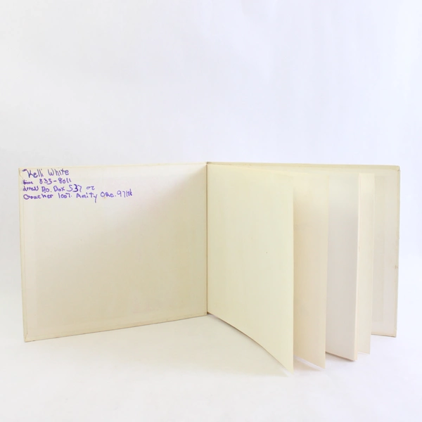 Lot Of 3 Kids Bks: Puzzle Ocean, Mr. Yowder & The Steamboat, Stranger By The Sea