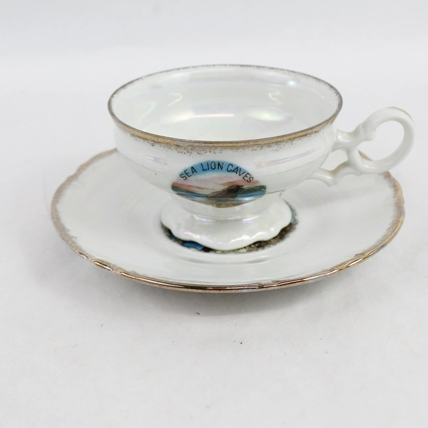 EFCCO Sea Lion Caves Oregon Souvenir Teacup and Saucer