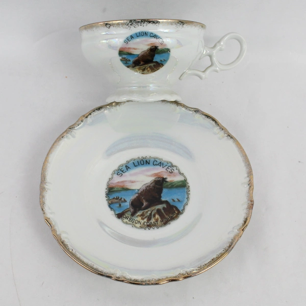 EFCCO Sea Lion Caves Oregon Souvenir Teacup and Saucer